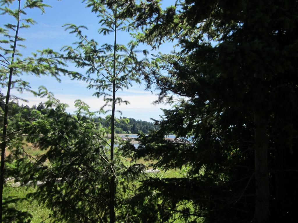 Oceanside Resort Powell River Buitenkant foto
